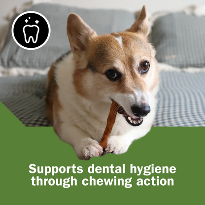 Activeguard® Collagen Slims Immune Support Dog Treats