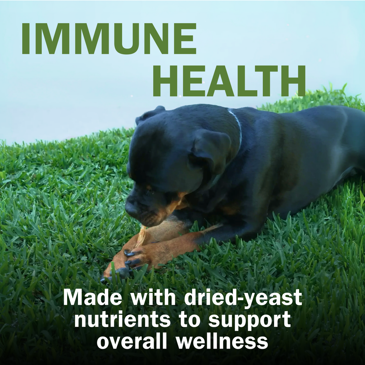 Activeguard® Collagen Slims Immune Support Dog Treats