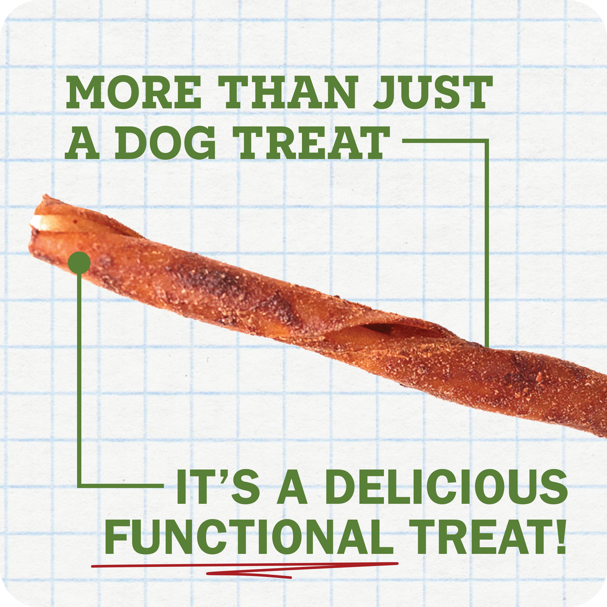 Activeguard® Collagen Slims Powerful Skin & Coat Support -