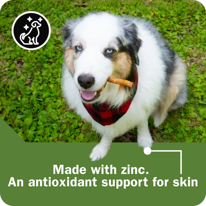 Activeguard® Collagen Slims Powerful Skin & Coat Support -