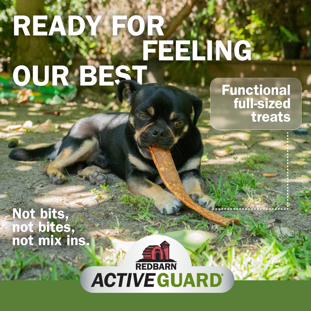 Activeguard® Bully Slims Immune Support Dog Treats