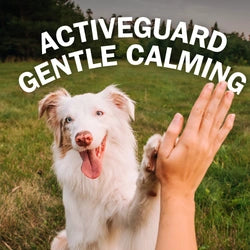 A white dog with its tongue out stands on a grassy field while a human hand raises a high-five. Large white text at the top reads 'ACTIVEGUARD GENTLE CALMING'.